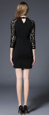 Black Lace Pencil Dress - Ferlicious